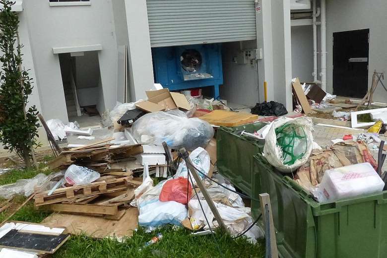 Waste removal Brighton